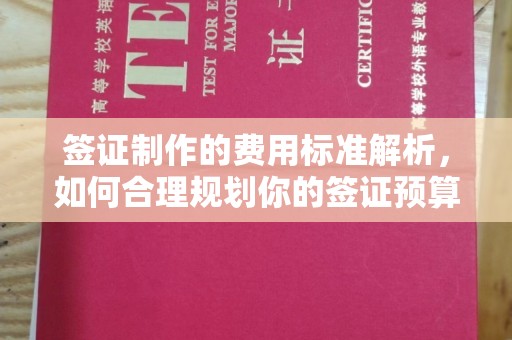 商洛签证制作的费用标准解析，如何合理规划你的签证预算