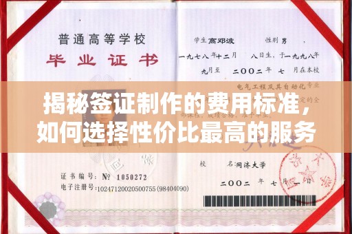 商洛揭秘签证制作的费用标准，如何选择性价比最高的服务？