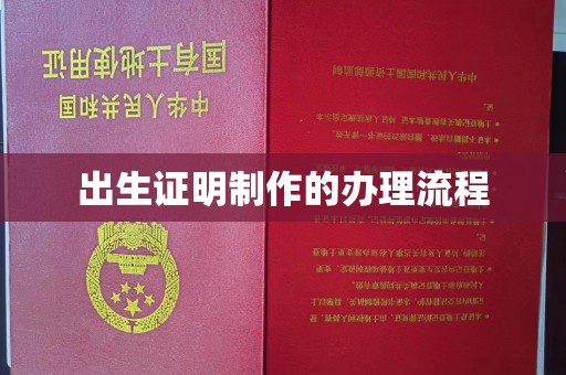 商洛出生证明制作的办理流程