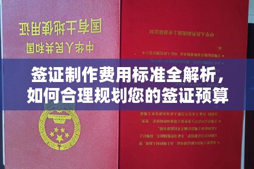 商洛签证制作费用标准全解析，如何合理规划您的签证预算？